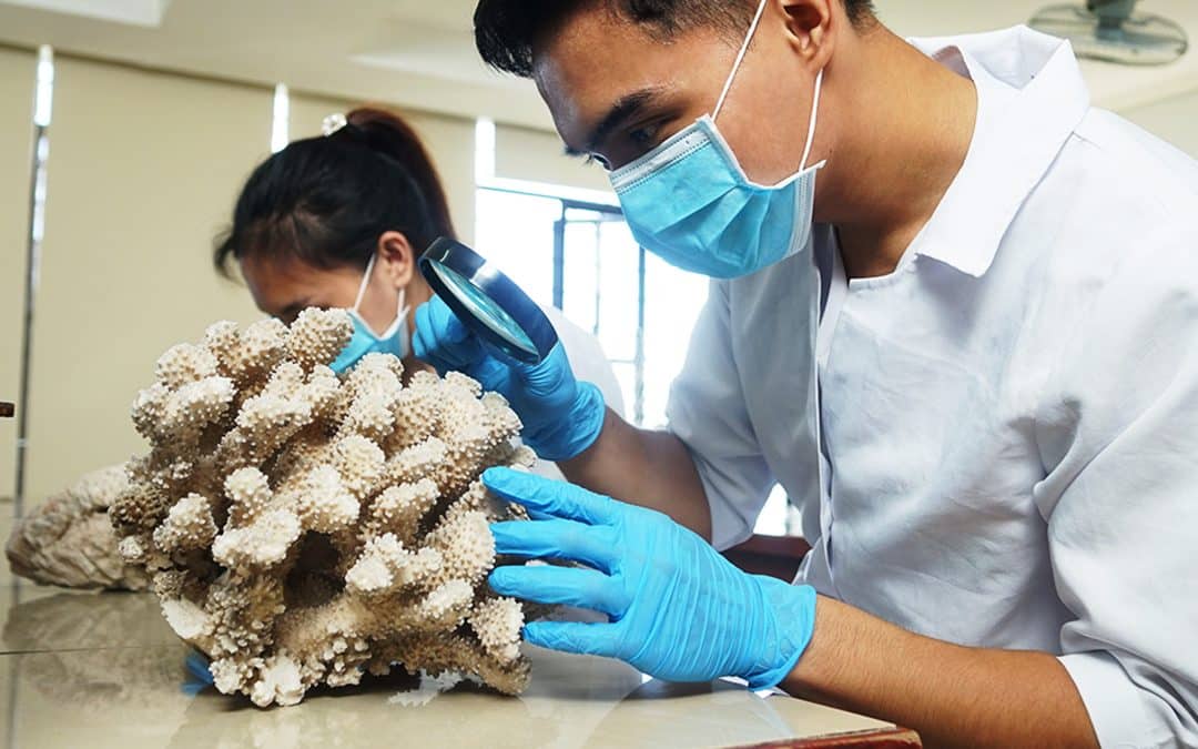 Bachelor of Science in Biology