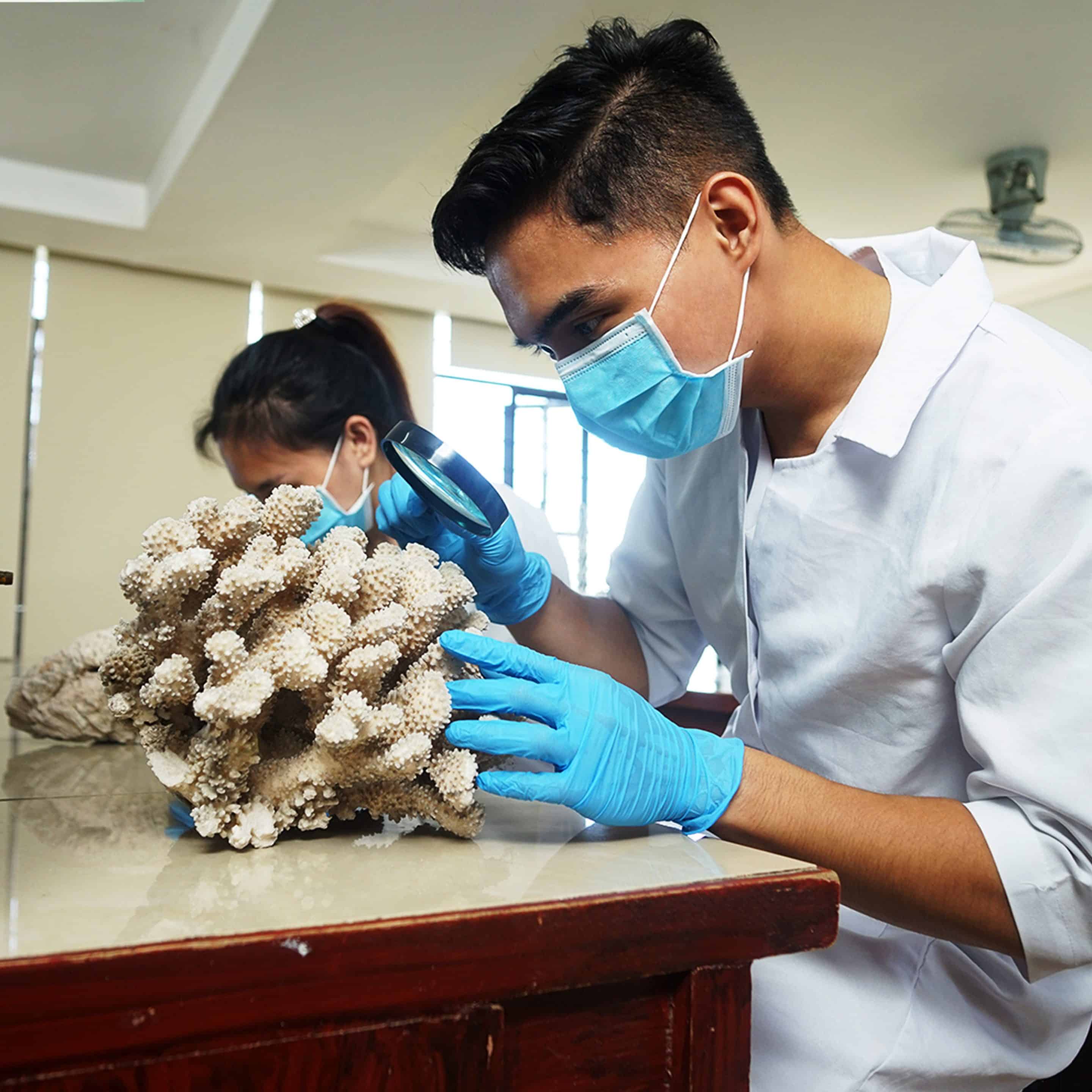 Bachelor of Science in Biology